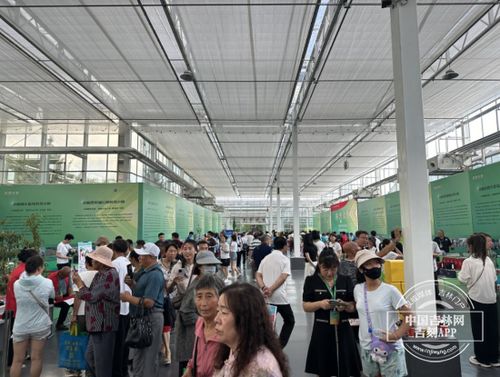 農(nóng)博會之旅 探訪科技小院，體驗農(nóng)業(yè)新質(zhì)生產(chǎn)力與教育科技的融合