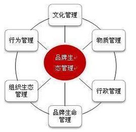 品牌生態管理 超越傳統品牌管理的進化之路